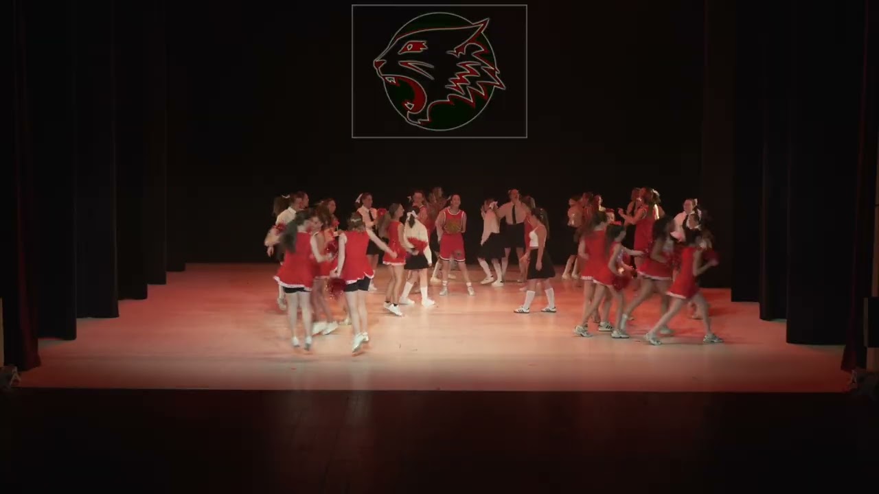 HIGH SHCOOL MUSICAL