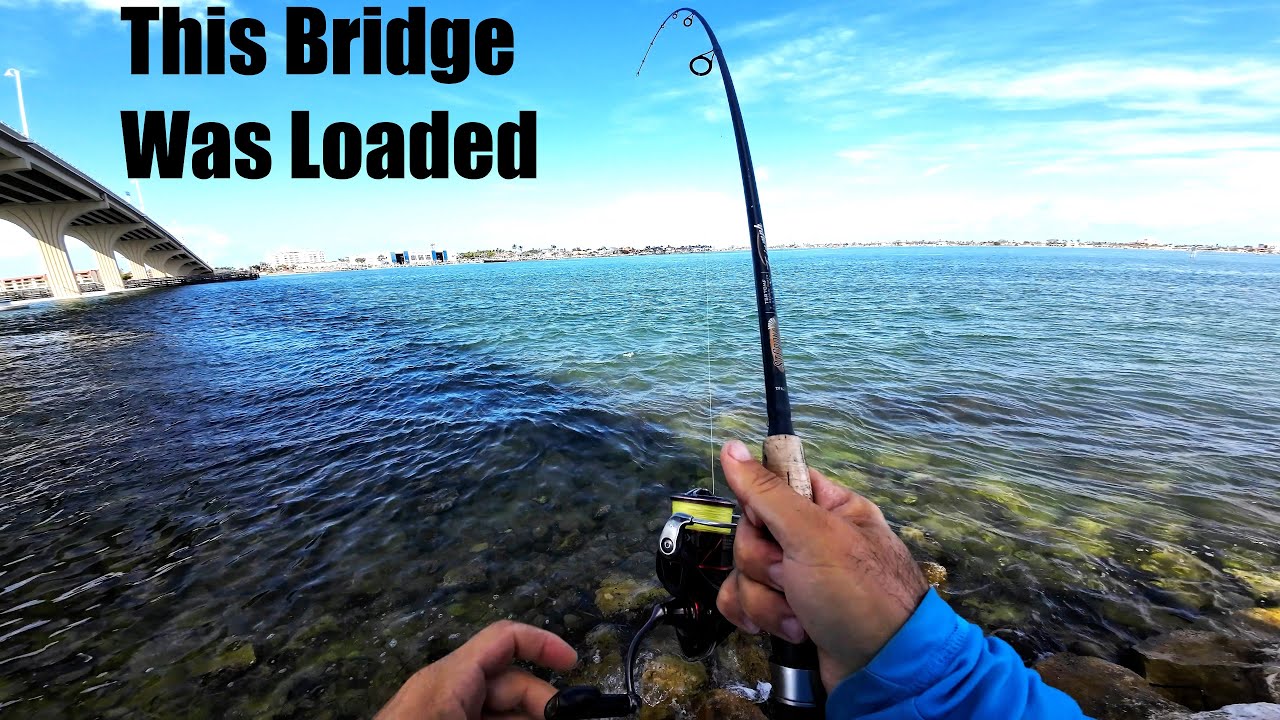 CRAZY Bites At This Tampa Bay Bridge! (Pompano Fishing)