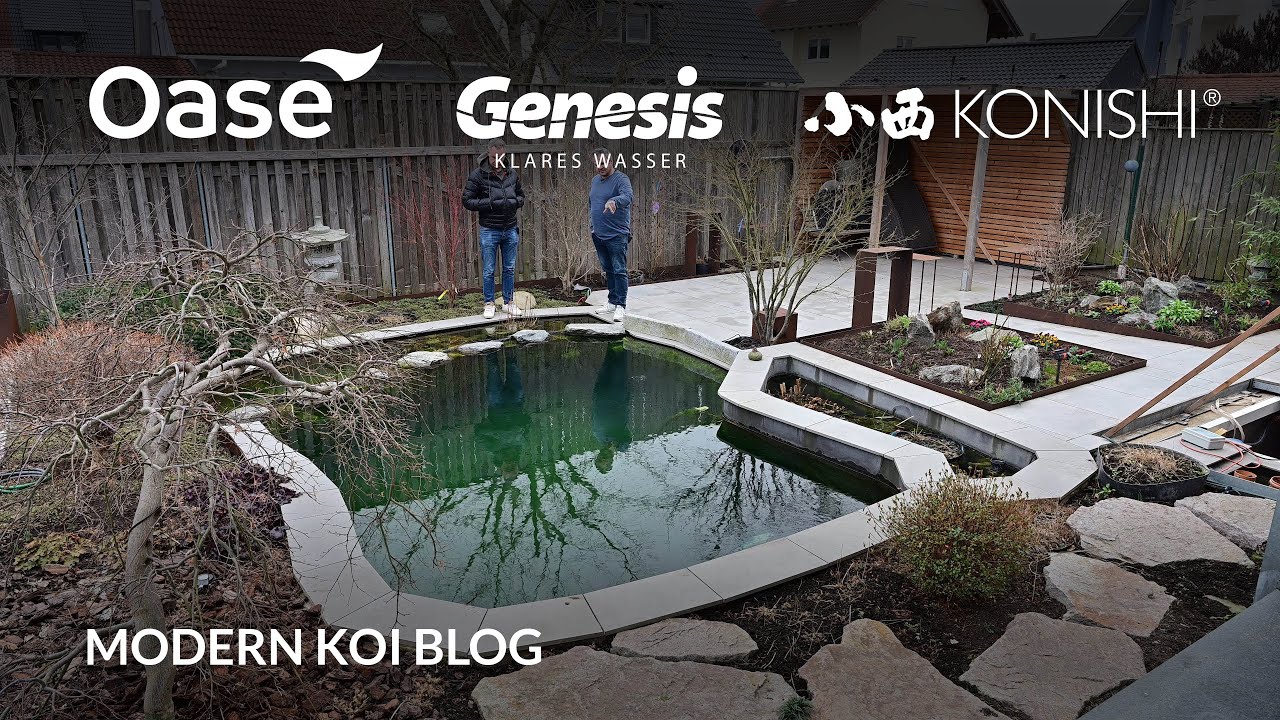 Modern Koi Blog #5882 - Rüdigers nagelneuer 29.000 Liter Teich mit massiven Algenproblemen