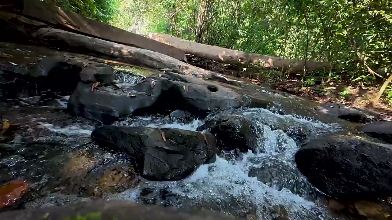 Peaceful Stream Ambience & Soft Piano Music