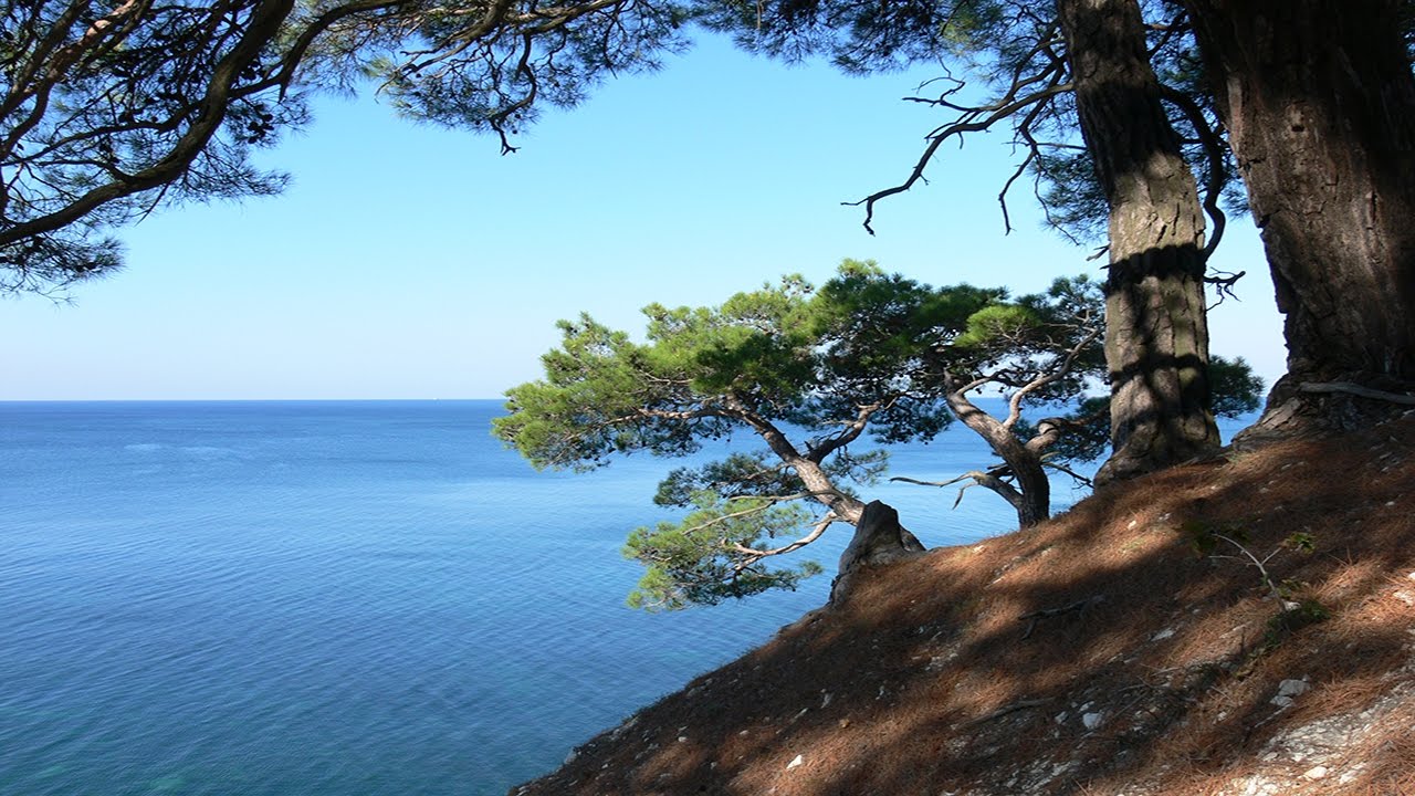 Adelaide - Peter Schreier, Konrad Ragossnig (guitar)