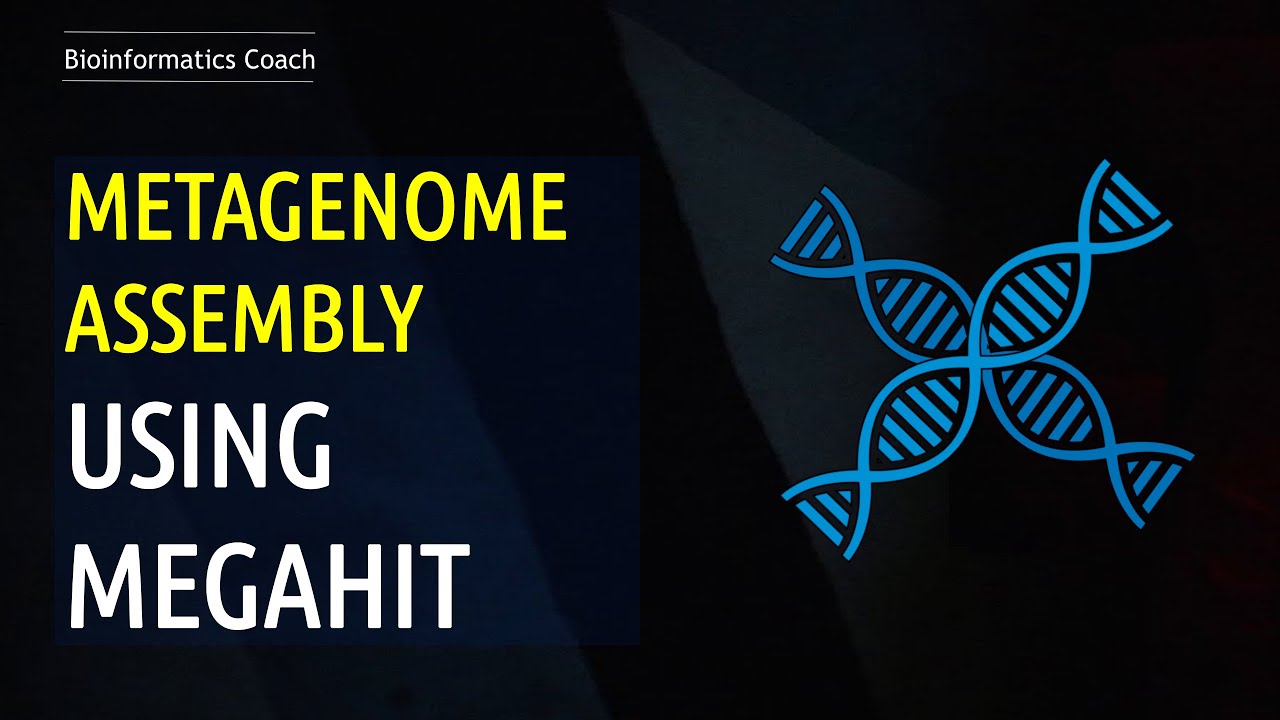 Metagenomics Assembly using Megahit