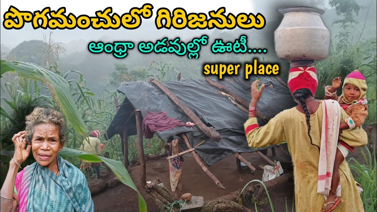 Andhra Ooty- Maredumilli forest || India tribes lifestyle || కొండపోడు @Mylu Rams