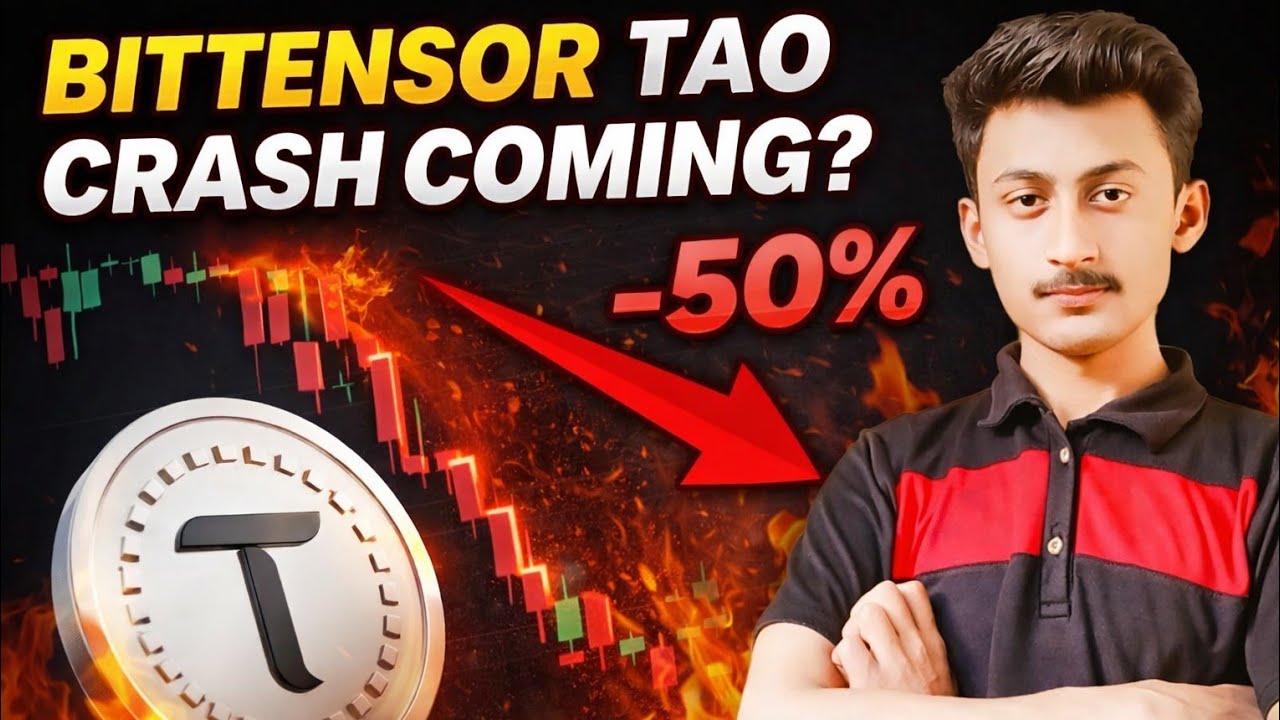 Bittensor TAO Crash Coming? TAO Price Prediction | TAO Analysis & Next Target Explained