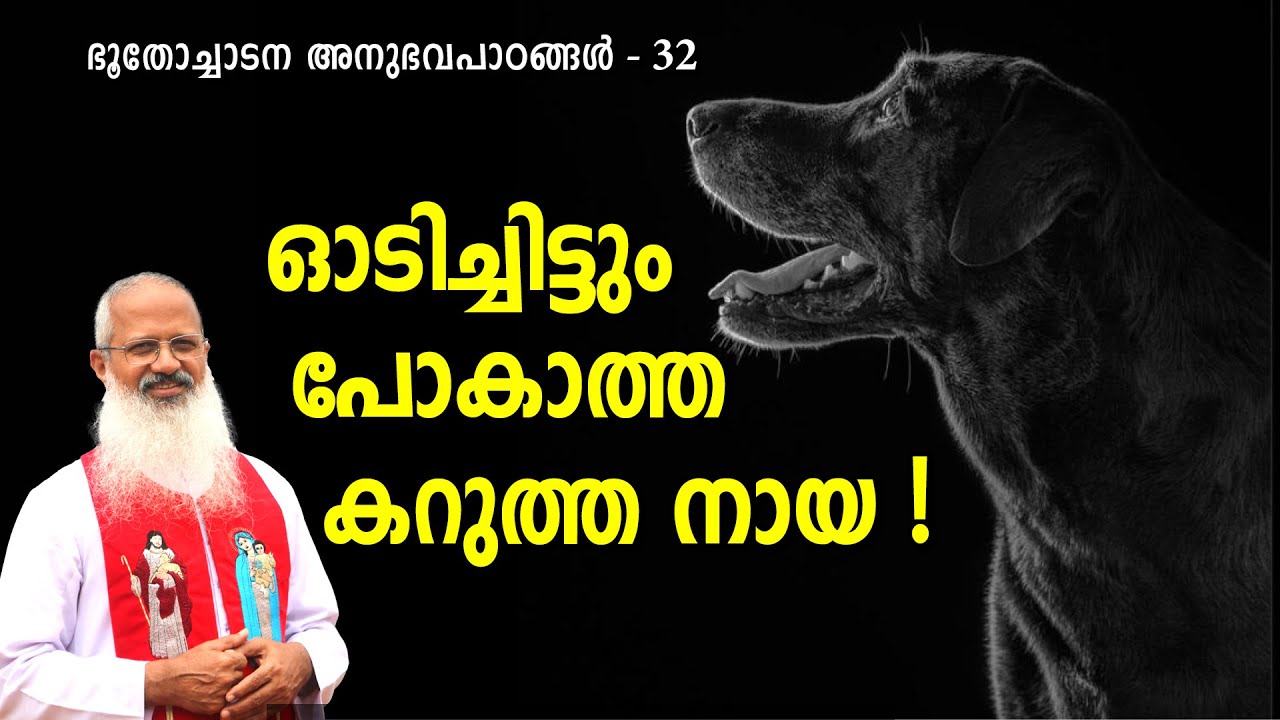 ഓടിച്ചിട്ടും പോകാത്ത കറുത്ത നായ ! #MOUNTNEBO #EXORCISM #VAZHACHARICKAL