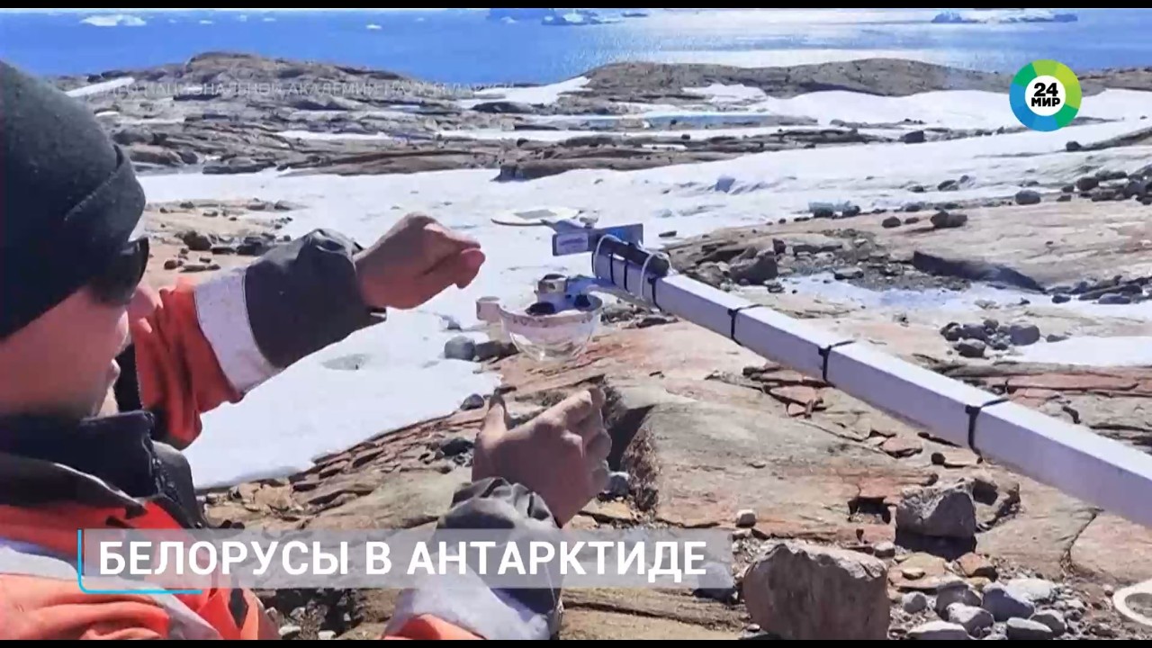 Новый вид организмов в Антарктиде открыли белорусские полярники