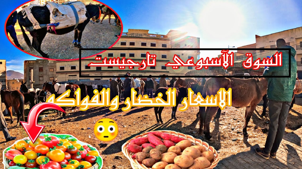 السوق الآسبوعي تارجيست: الاثمنة جديدة،😱