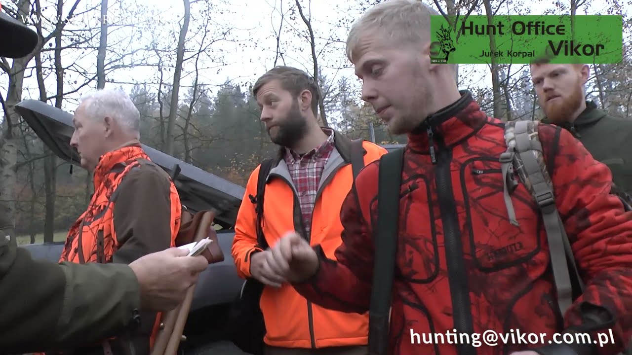 Driven hunt in Poland - Drivjagt i Polen