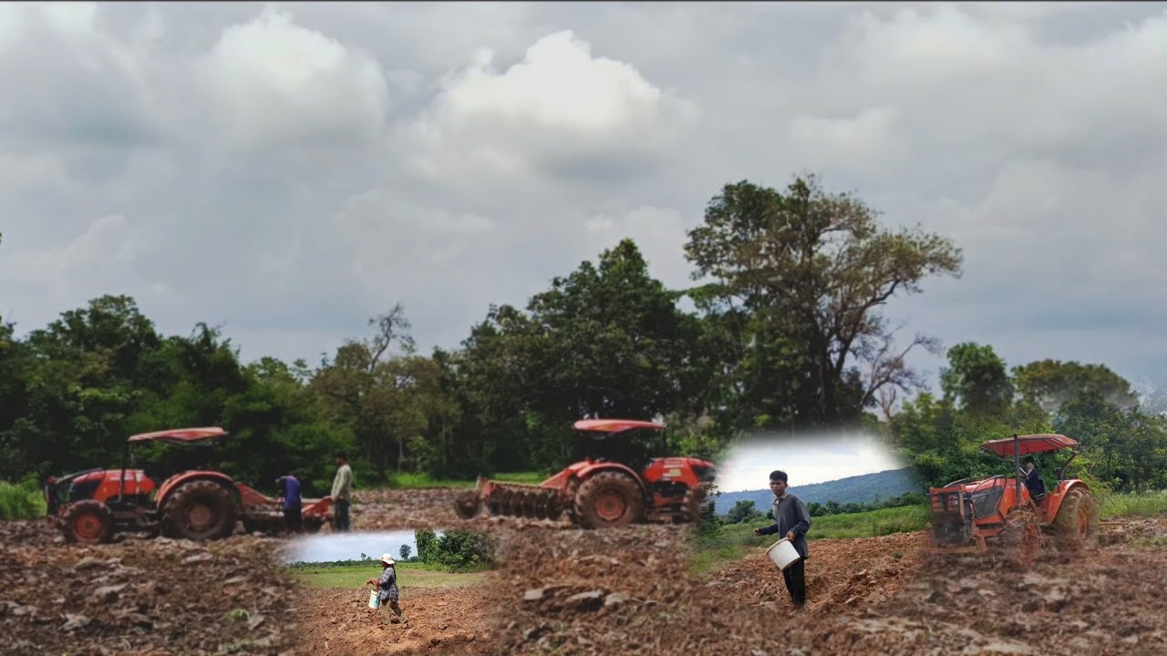Farmers/ជាប់ផុងបីដងទម្រាំភ្ជួរហើយ