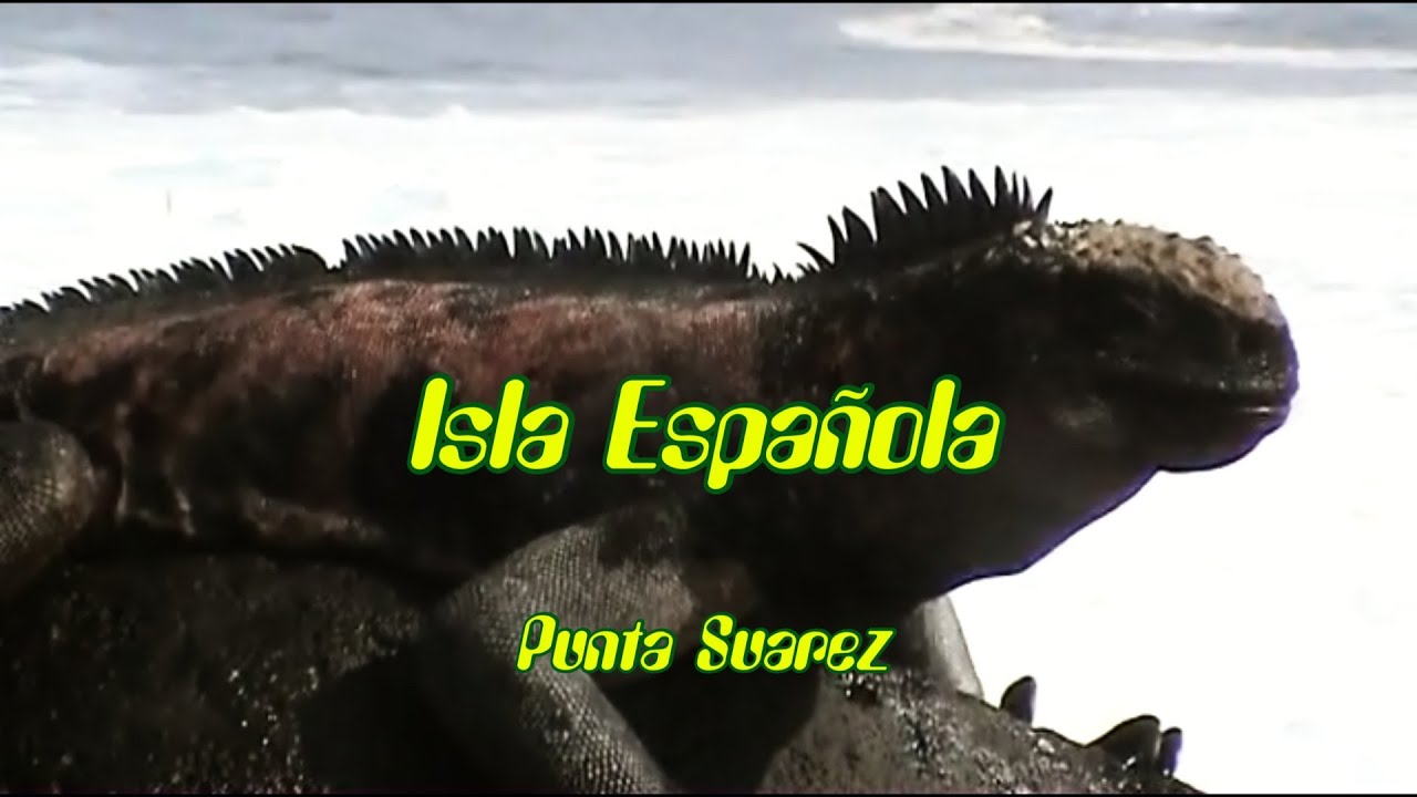 Viaje a las Islas Galápagos - Marzo 2007 - Isla Española - Punta Suarez