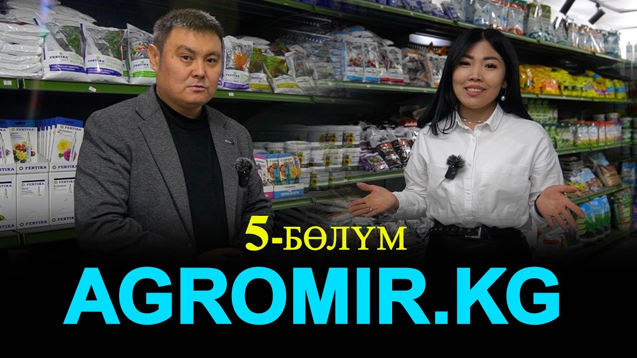 Дыйкандардын дүкөнү  Баары бар экен 5-бөлүм