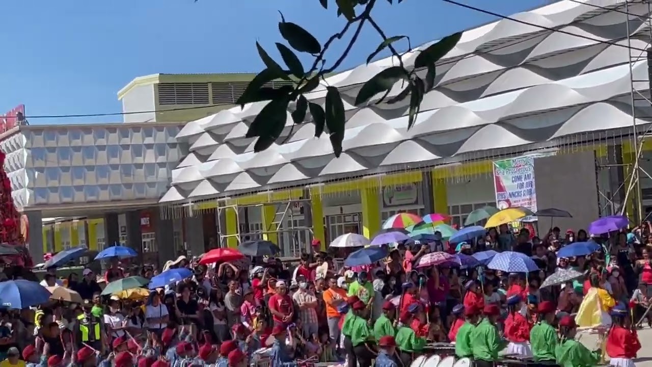 SAES MARCHING BAND SIDE VIEW (Starts @02:09)
