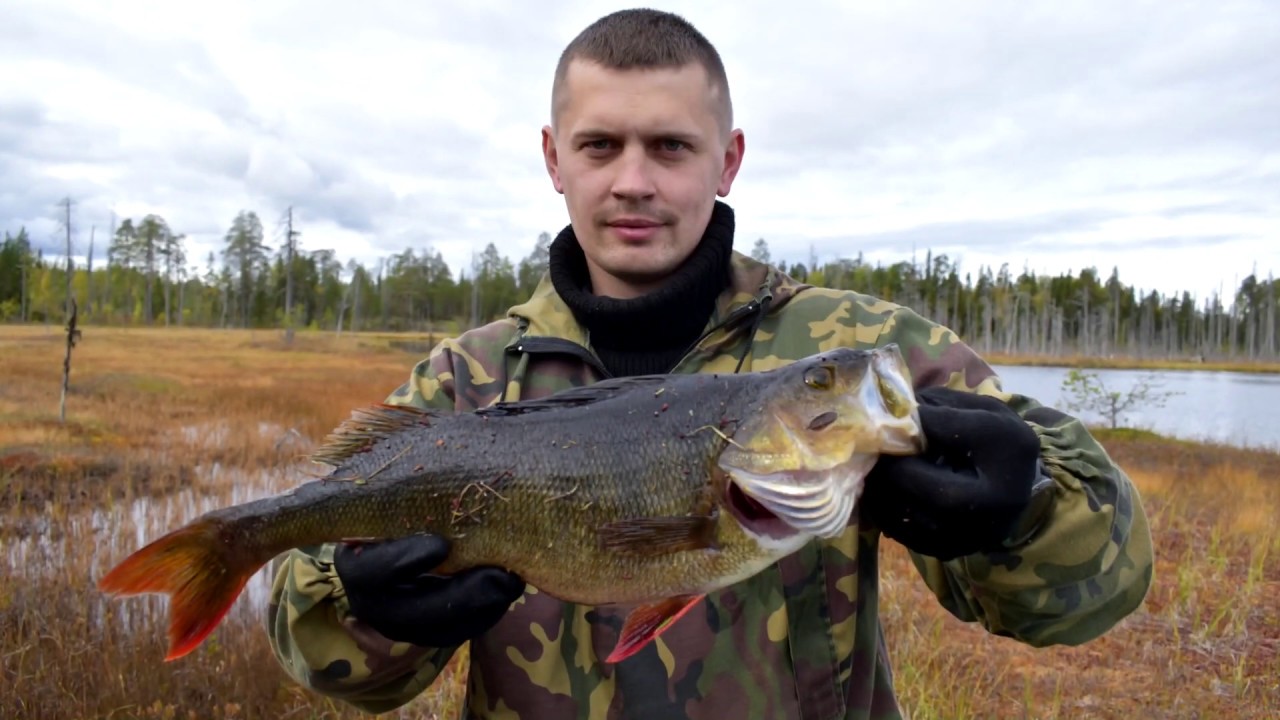 Karelia Fishing 2020