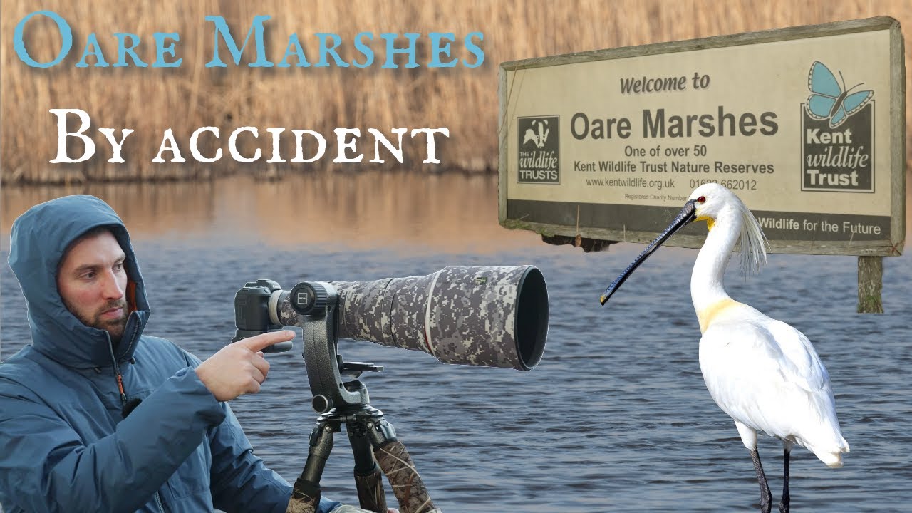 Oare Marshes: By accident.