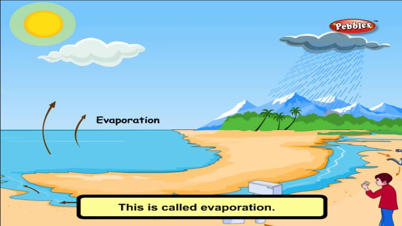 Cbse 4th CBSE SCIENCE | Air, Water & Weather |  NCERT | CBSE Syllabus | Animated Video