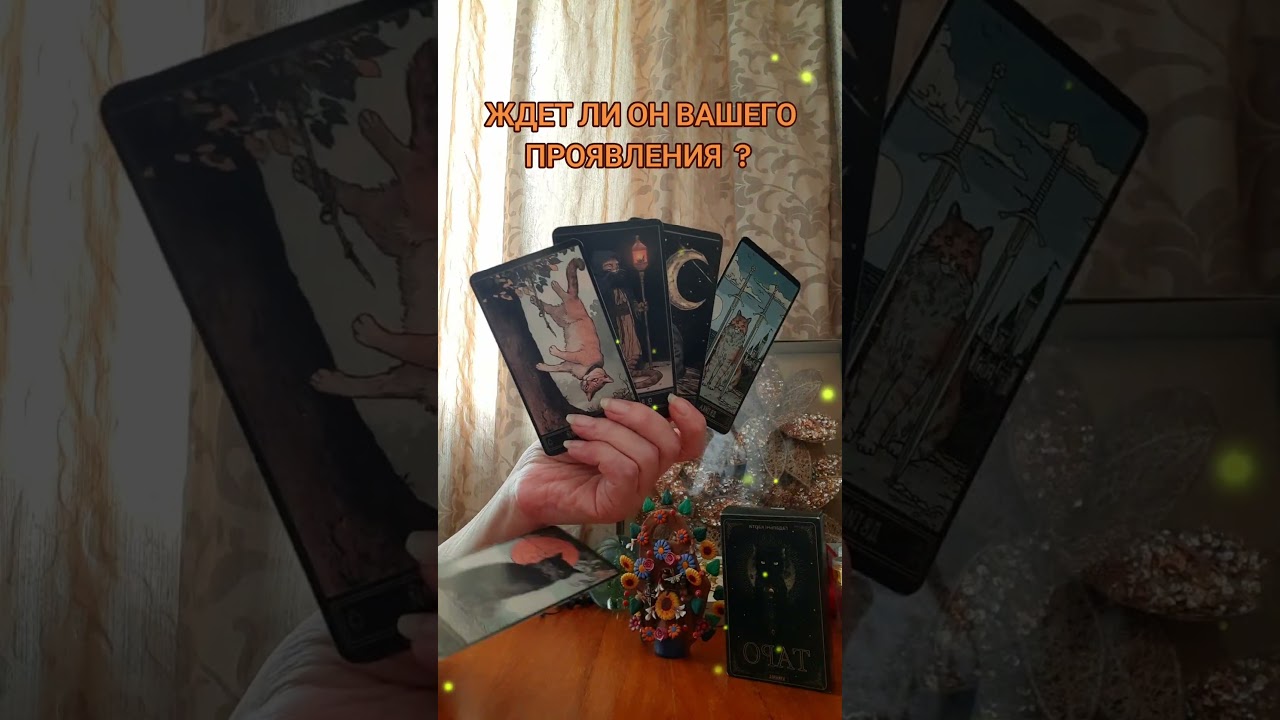 #таро #таролюбовь #таропрогноз #таросовет #рек