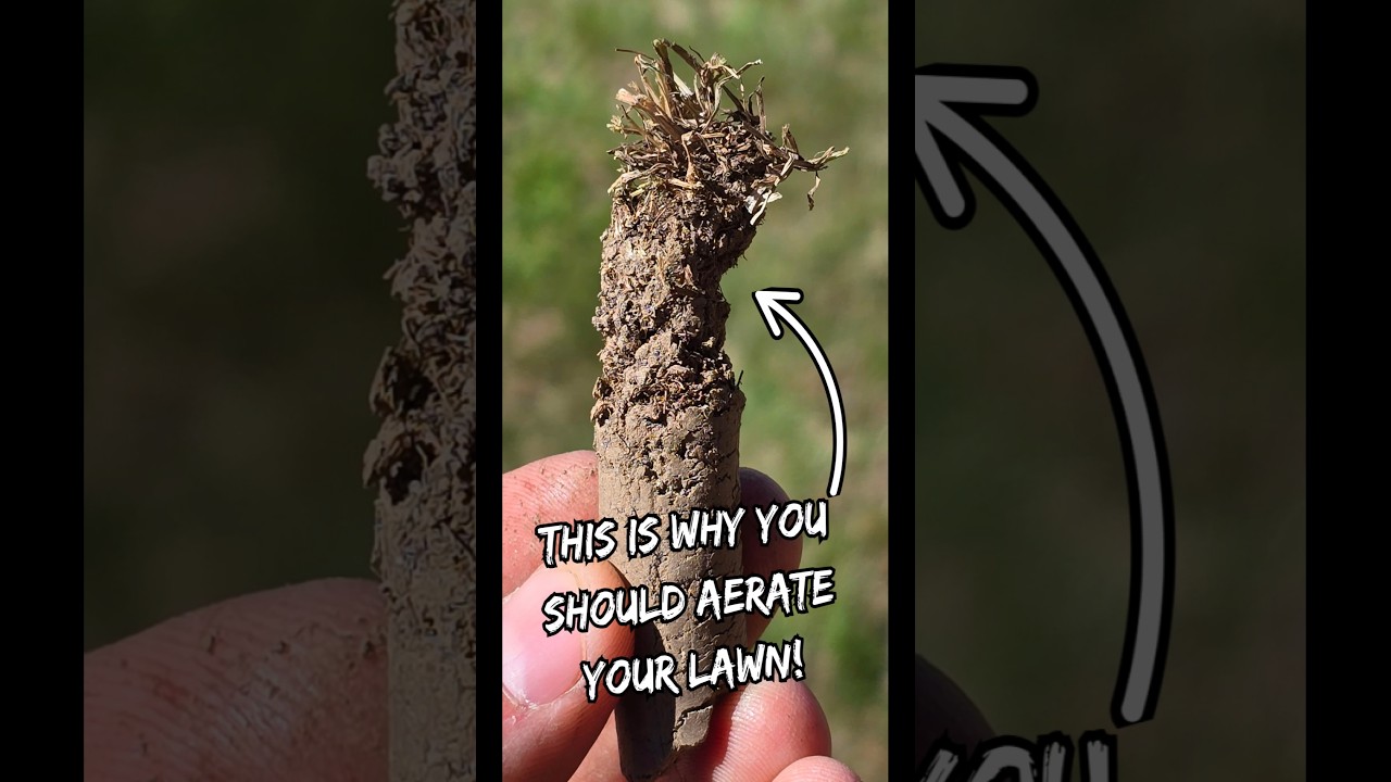 Revitalize Your Grass: Why Aeration is a Game Changer!