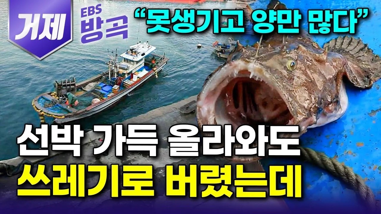 [경남 거제] 