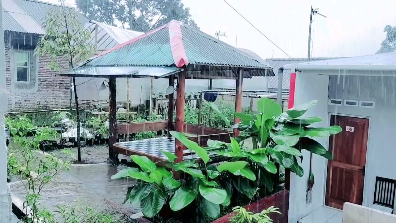 Natural Rain Sounds 🌙 Relax, Unwind & Sleep Faster Tonight