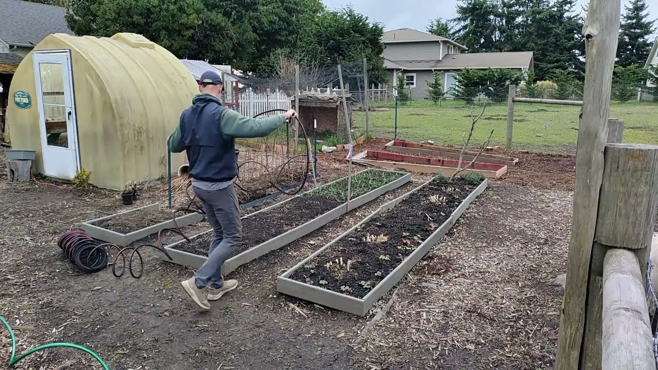 Garden Update 02Mar2026