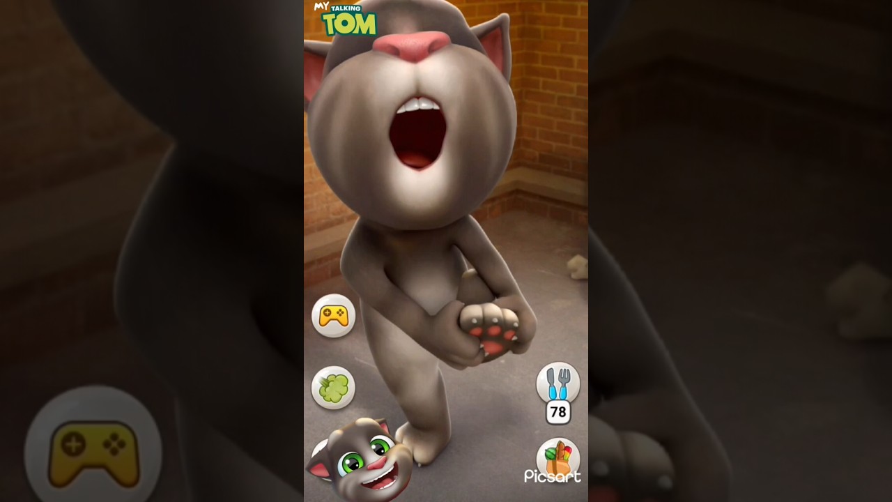 Talking Tom cat 0 ,l 🐈 l #talkingtom #funnyanimals