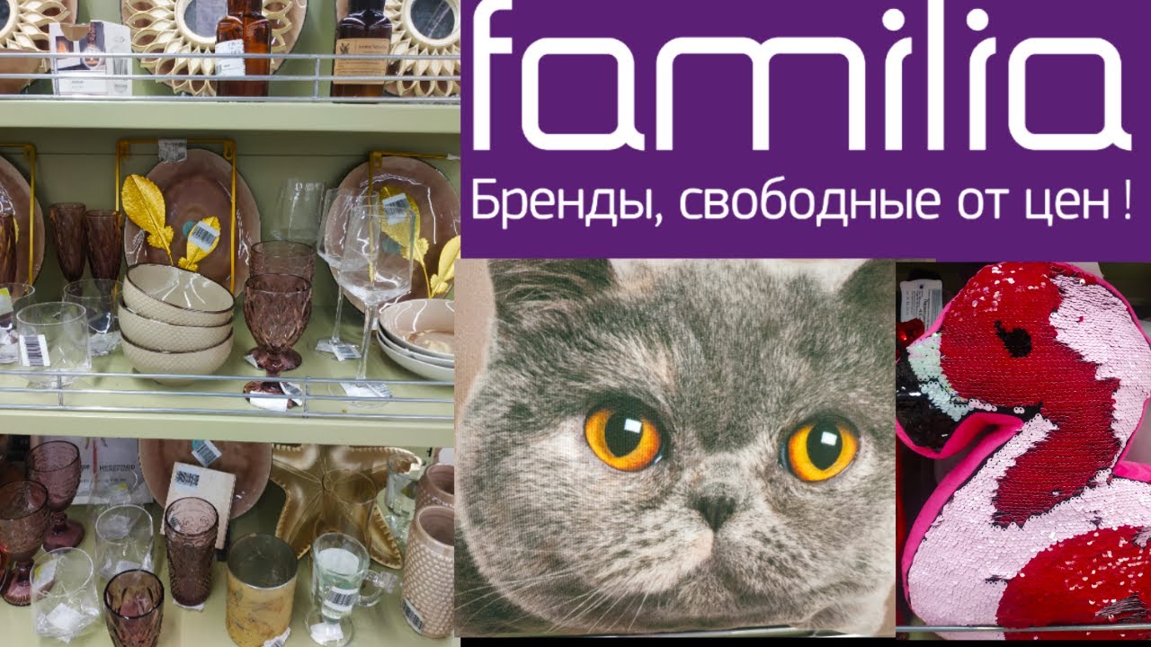 ОБЗОР МАГАЗИНА ФАМИЛИЯ/ НОВИНКИ ОСЕНИ #обзор #home #видео #магазин #влог #осень #фамилия #обзоры