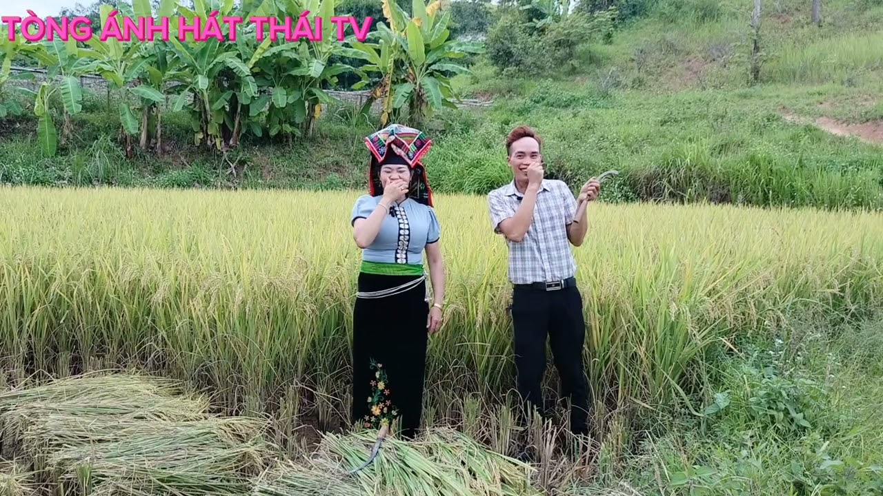LÒ TÁM VỚI LÒ DUIÊU HÁT TÌNH YÊU HAY NHẤT MỌI NGƯỜI ƠI NGHE ỦNG HỘ EM VỚI NHÉ
