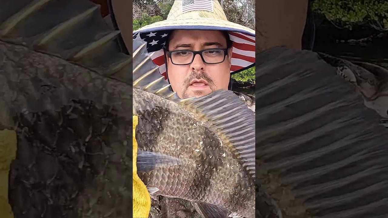 How to tell if a Black Drum has worms BEFORE you cut it up 
