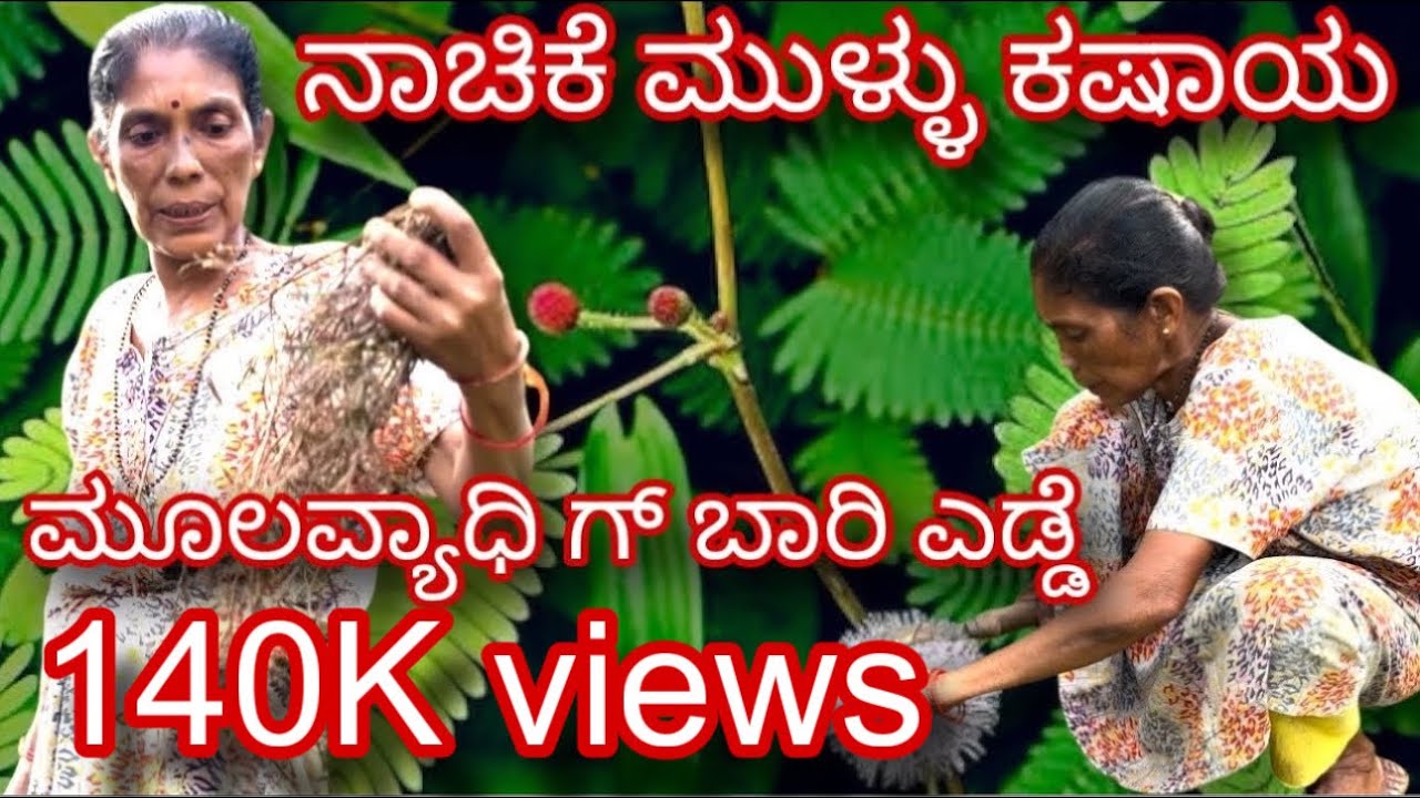 Nachike Mullu Kashaya | ನಾಚಿಕೆ ಮುಳ್ಳು ಕಷಾಯ | Village Style Cooking | #mangalore #kudla #tulurecipe 