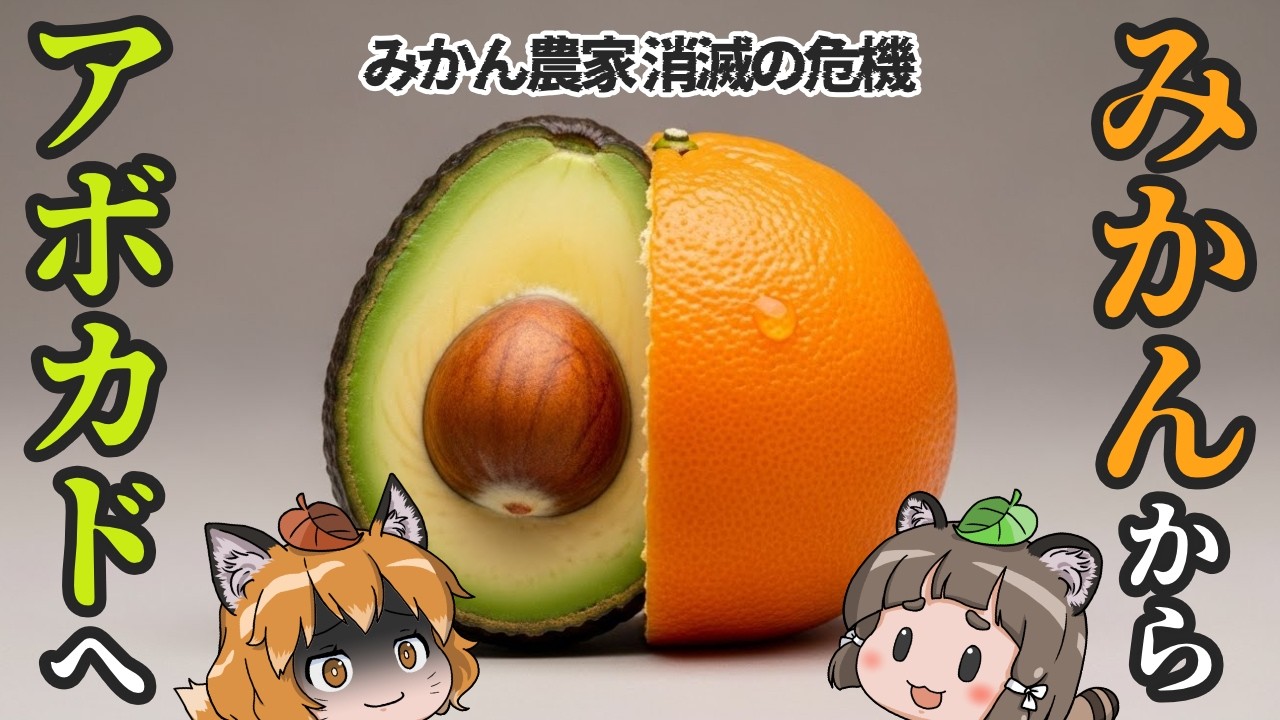 【救世主】アボカドがみかん農家を救っているって知ってましたか？