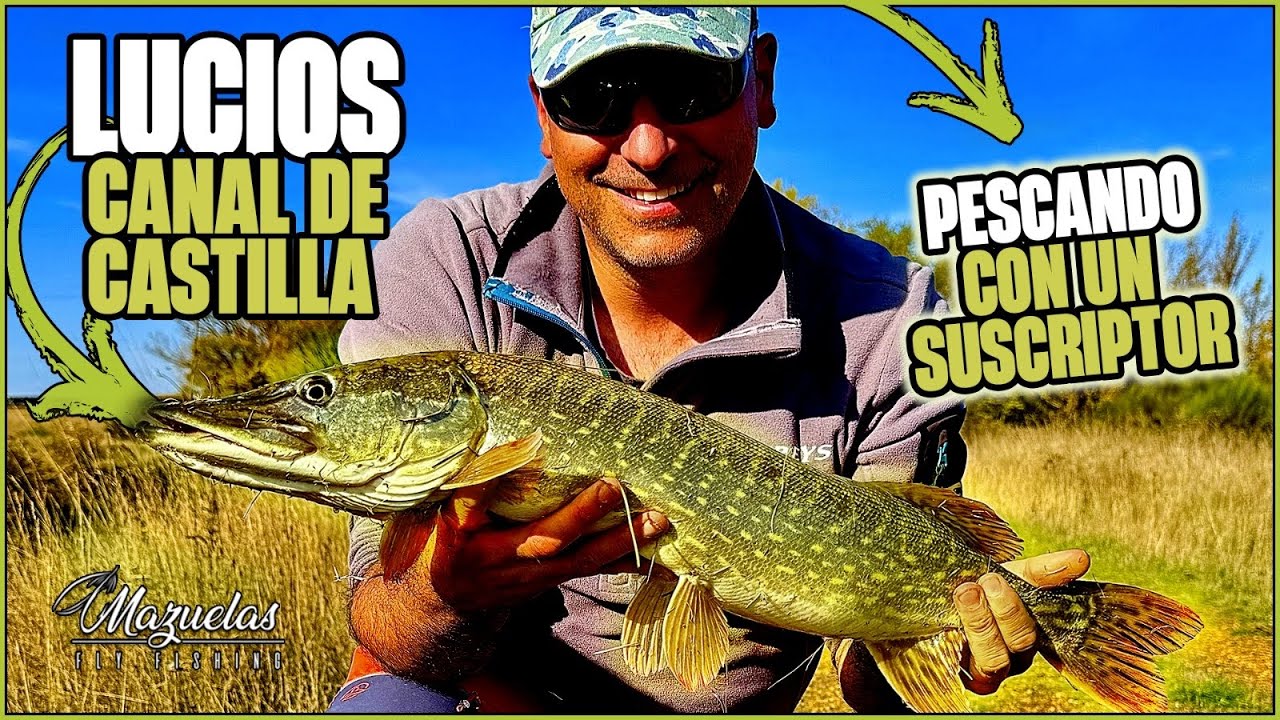 Como pescar lucios en el canal de Castilla.Mazuelas fly fishing