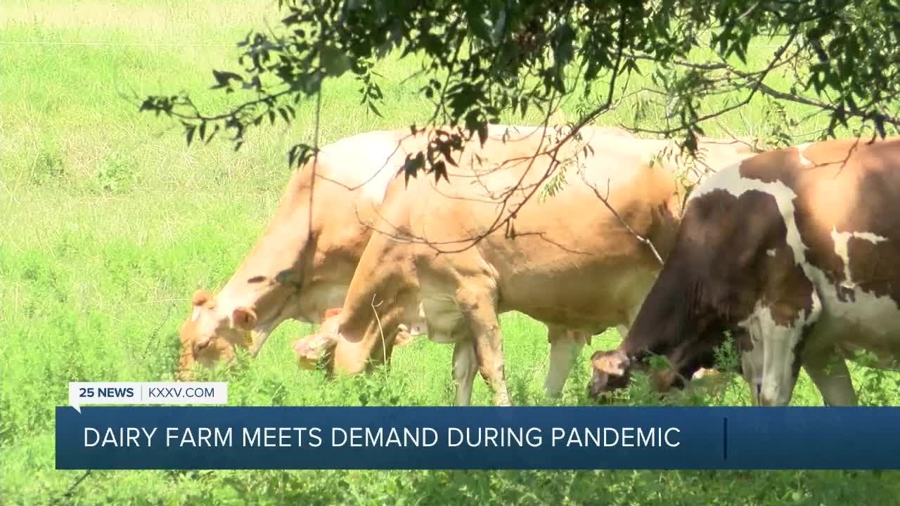 Dairy Farm Meeting Milk Demand
