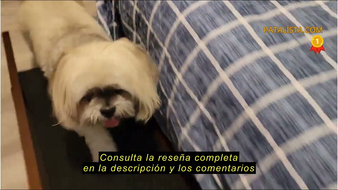 Reseña del Rampa para perros para cama con Rieles de seguridad PRIORPET - Madera de Abedul - Ajustab