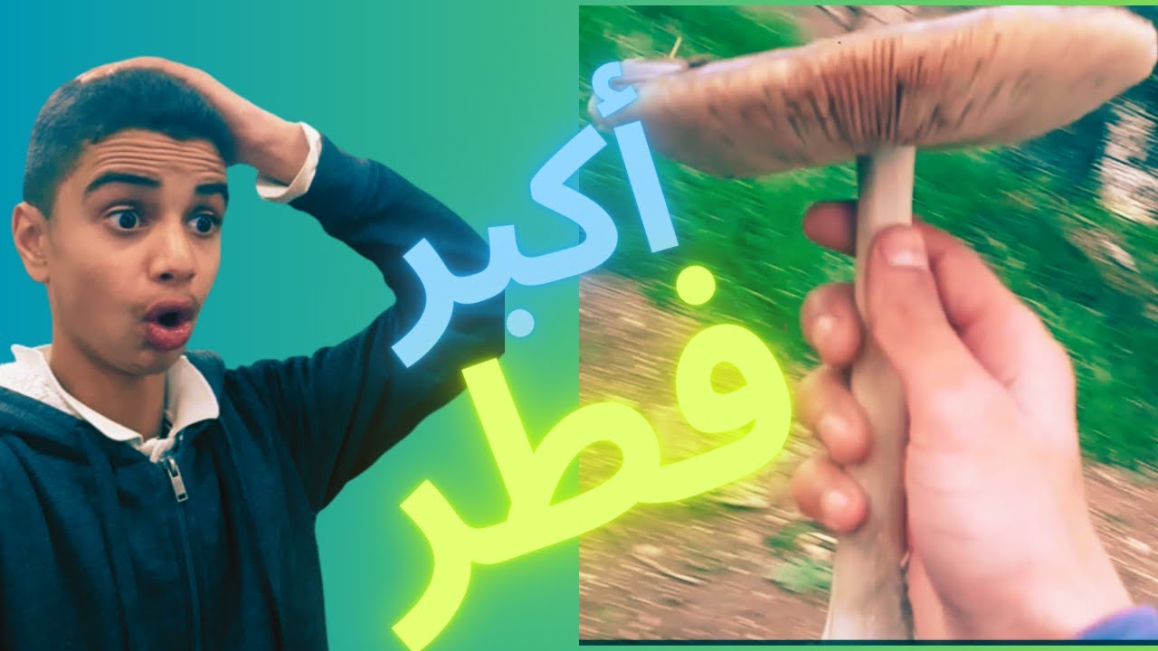 البحث عن الفطر🍄 ( الجزء الثالث ) لقيت أكبر فطر بحياتي😱🍄