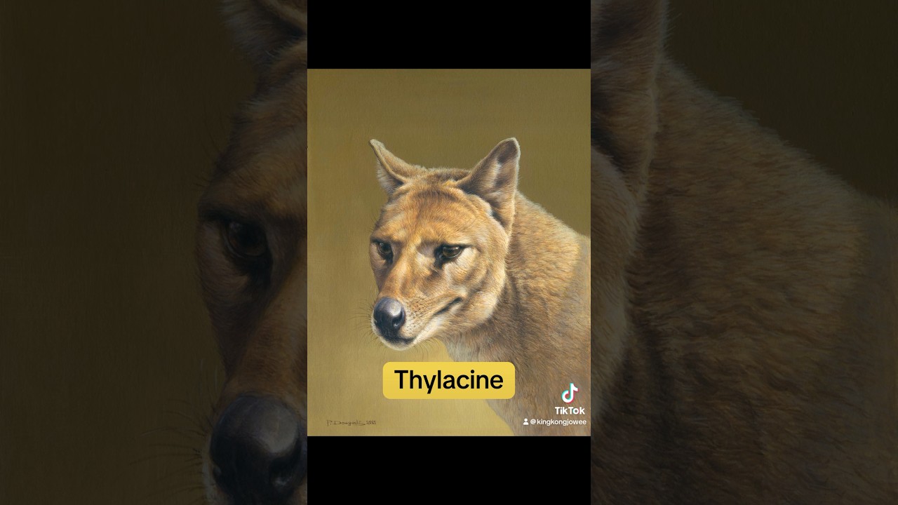 Planet Zoo DLC ideas: Extinction Pack #planetzoo #shorts #fyp