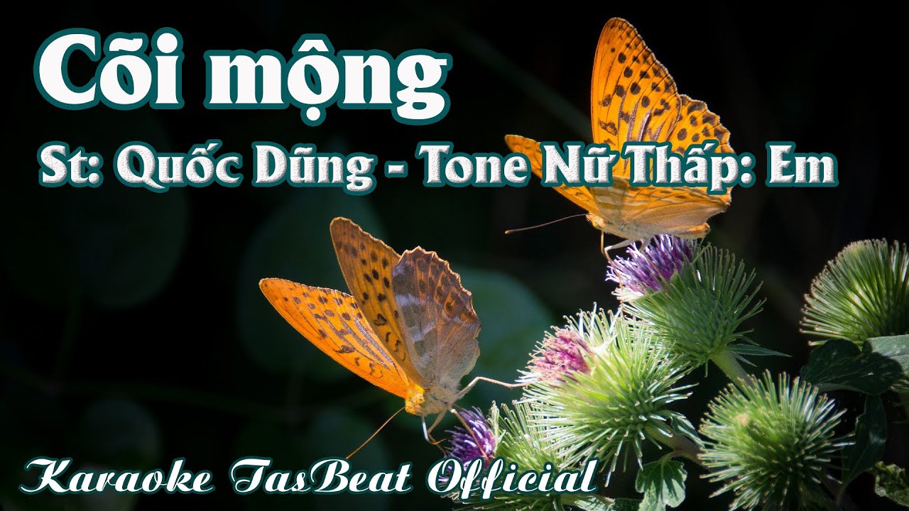 Karaoke Cõi Mộng Tone Nữ Thấp | TAS BEAT