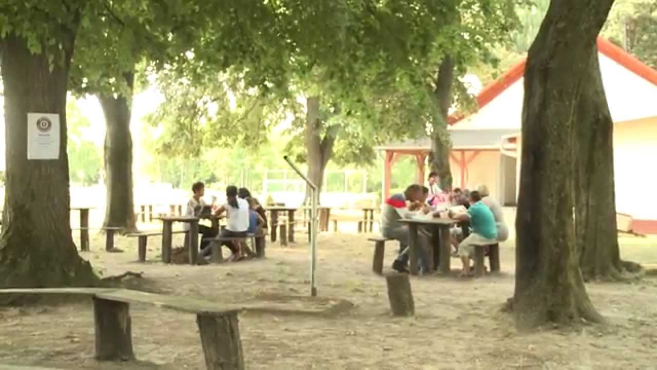 Multikulturális roma nap Németkéren