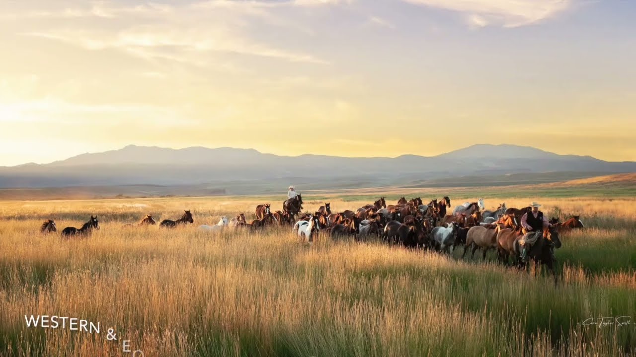 Cowgirls with Cameras in EquuStyle Art & Travel Magazine Summer 2024