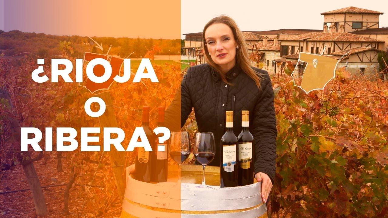 &iquest;Rioja o Ribera? Descubre las diferencias