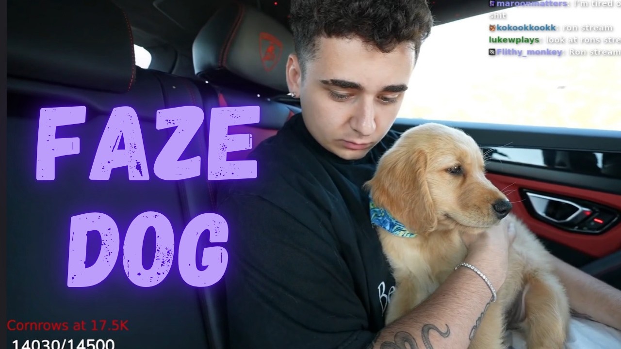 Lacy Picking Up The New FaZe Dog