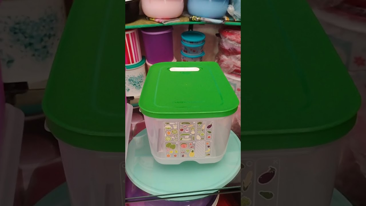 Vêm fazer Sua Compra Tupperware Original Com flor 77)999787249 