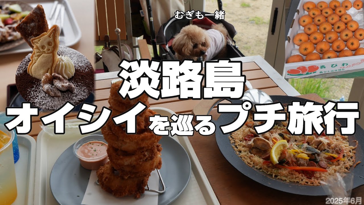 【🐶愛犬と巡る淡路島グルメ旅】世界大会金賞カフェのスイーツや絶景ランチを😋万博パソナ館のおみくじで玉ねぎGet🧅
