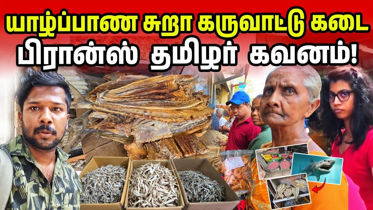 இலங்கை! யாழ்ப்பாண கருவாட்டு கடை | Jaffna Dry Fish Shop | Jaffna Suthan