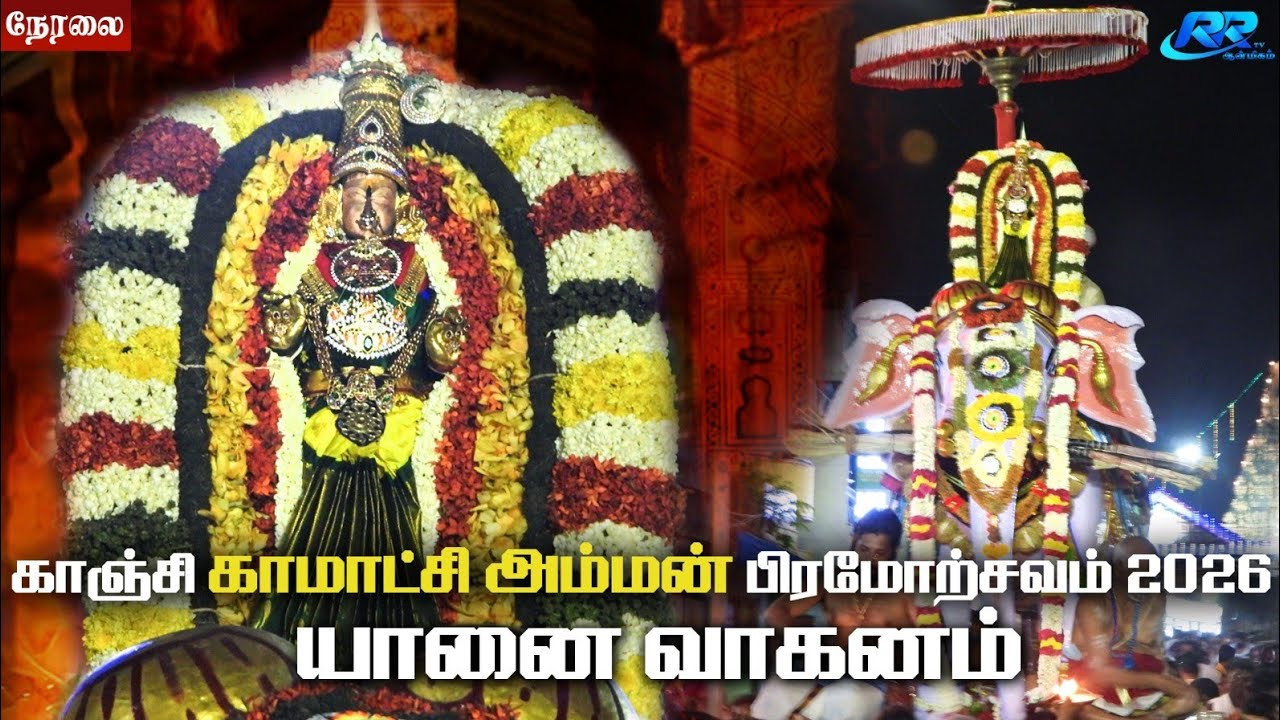 LIVE :காஞ்சி காமாட்சி அம்மன் கோவில் பிரம்மோற்சவம் 2026 தங்க சிம்ம வாகனம் நேரலை@RR tv