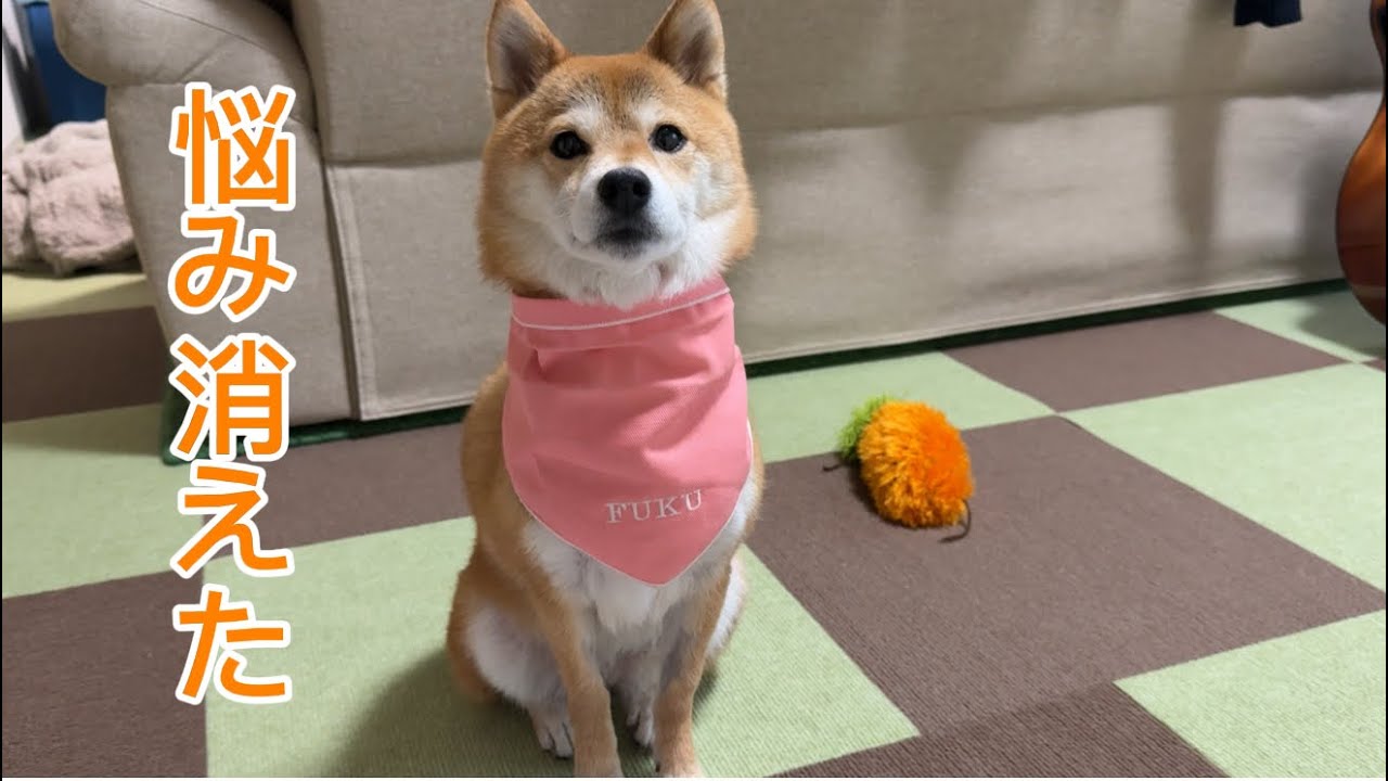 ずっと悩まされていた問題が解決されそうです
