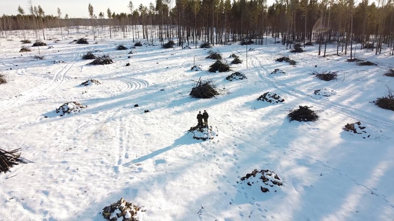 Будем садить ЛЕС! Очистили участок горельника для посадки! О чем молчал ТРИ года?
