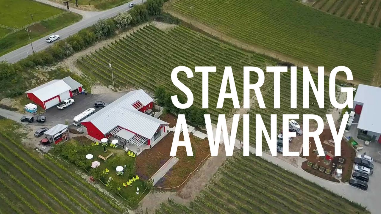 Heidi Noble: On Starting A Winery