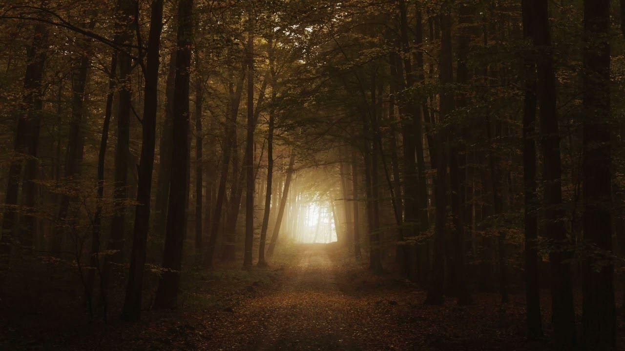 Vangelis - Reve [800% slowed, Ambient]