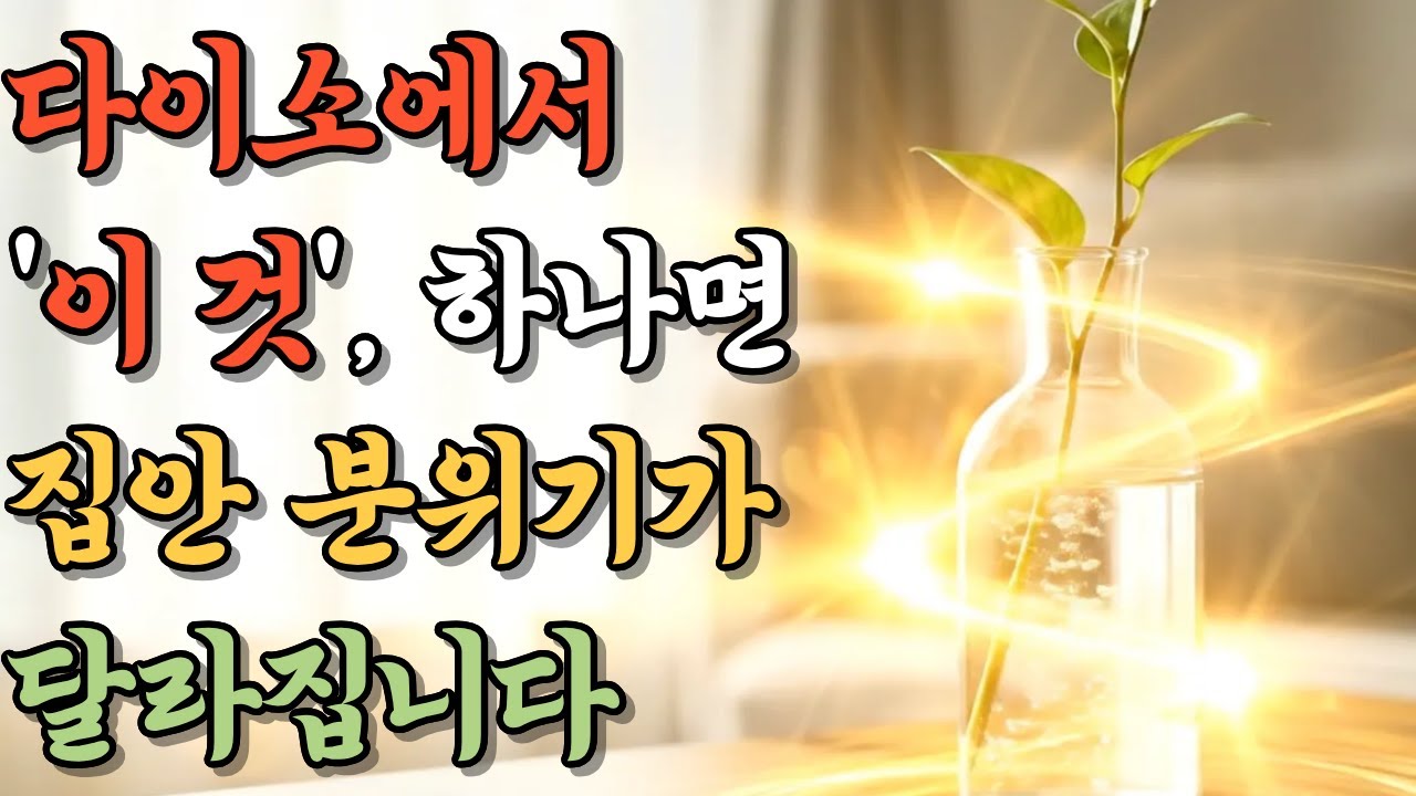 돈 안 들이고 집 분위기 바꾸는 법｜다이소 소품으로 하는 생활 풍수