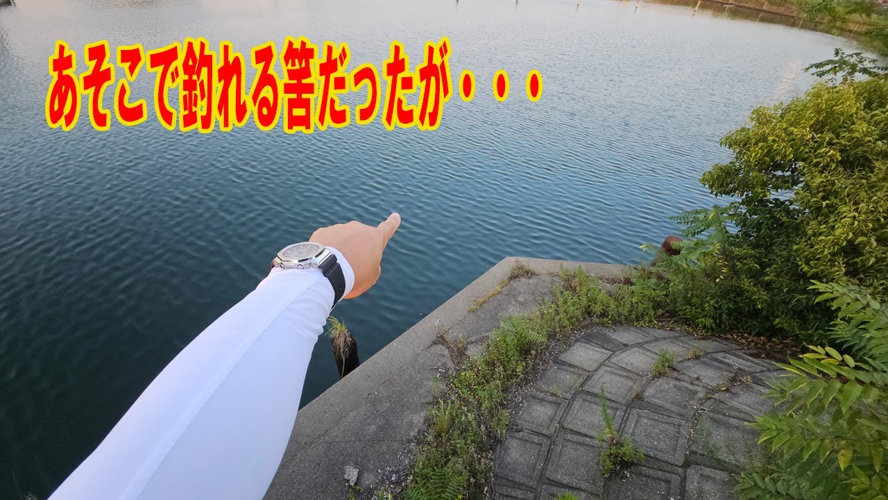 うなぎ釣りそんな時もアリアリ!!!　【うなぎ釣り】